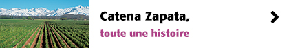 Catena Zapata, toute une histoire